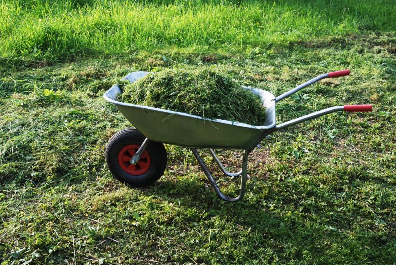 Grass Clippings