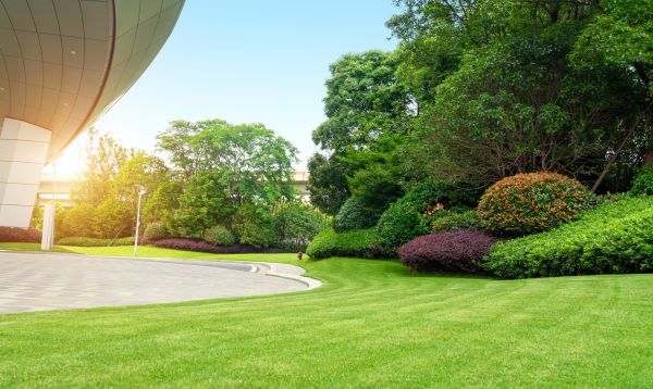 Cost of Commercial Lawn Mowing in Cary