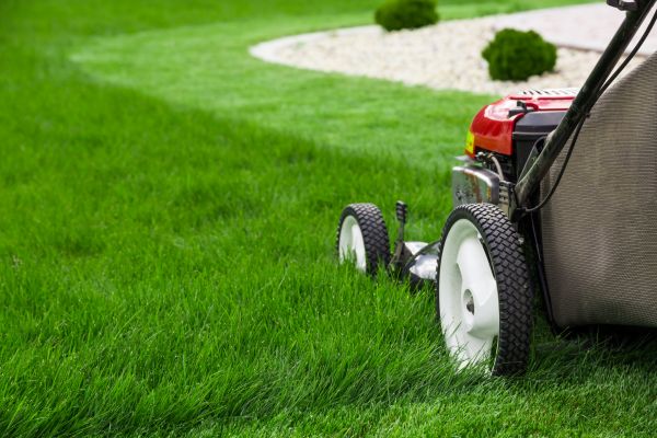 Lawn Cutting Service in Cary