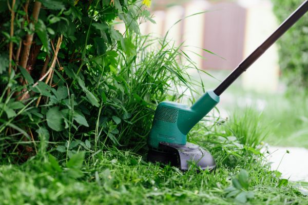 Cost of Weed Whacking in Cary