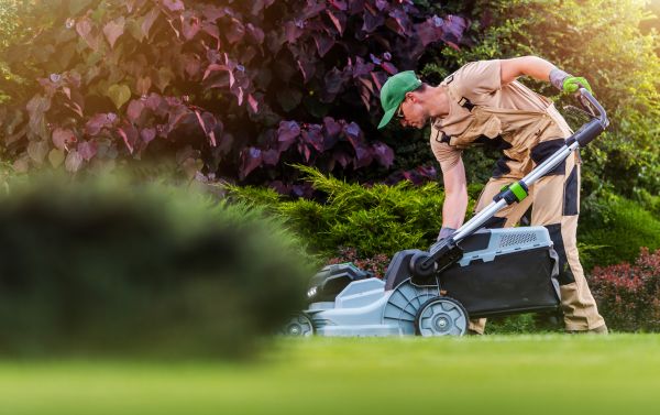 Yard Care Service in Cary