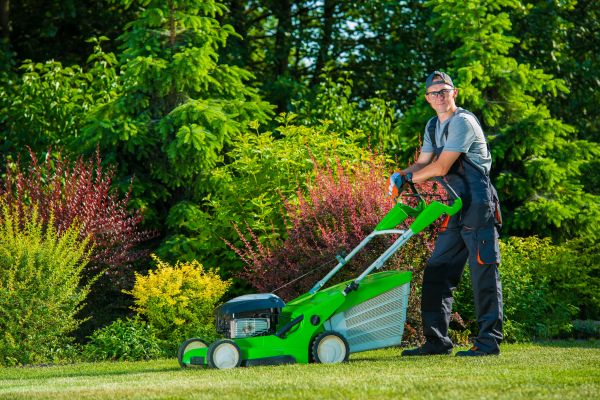 Yard Work Service in Cary