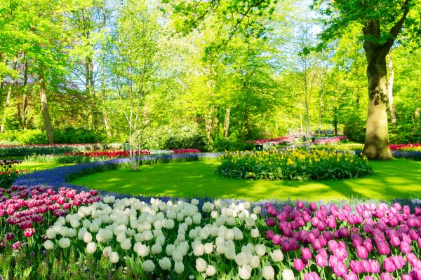 Cost of Spring Lawn Care in Cary