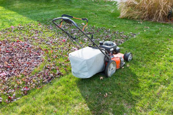 Seasonal Lawn Care in Cary