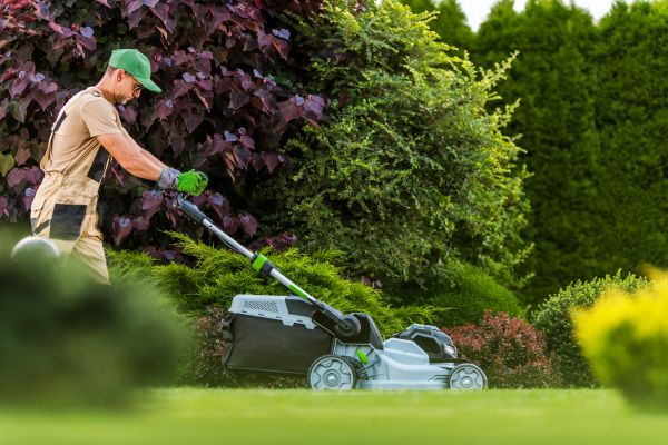 Lawn Management in Cary
