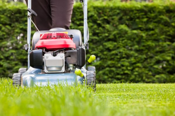 Cost of Grass Trimming Service in Cary