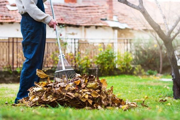 Cost of Routine Lawn Maintenance in Cary