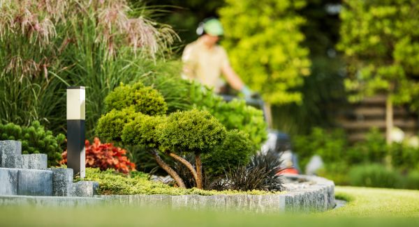 Cost of Residential Yard Maintenance in Cary