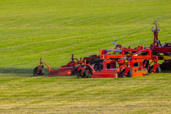 Cost of Industrial Lawn Service in Cary
