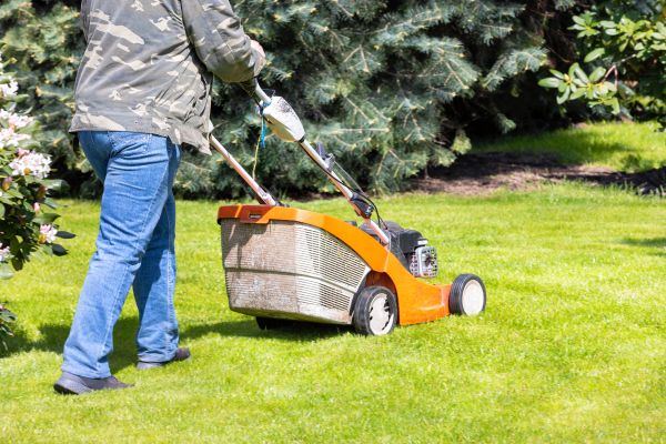 Cost of Springtime Lawn Care in Cary