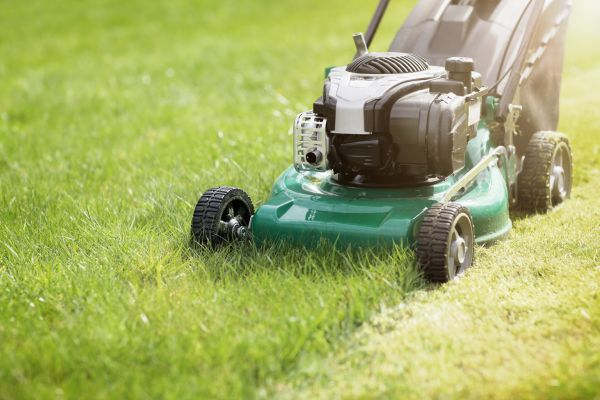 Cost of Spring Grass Trimming in Cary