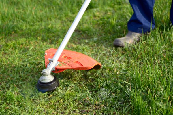 Cost of Lawn Weed Whacking in Cary